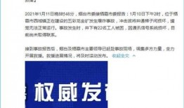 科兴员工爆料事件最新,揭秘疫苗生产背后的真相与争议”
